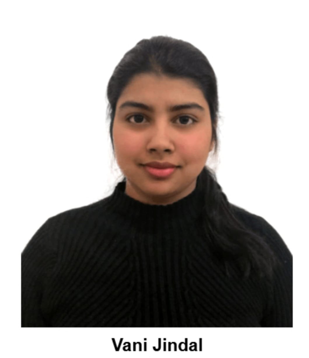 profile of Vani Jindal